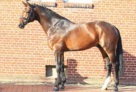 03_Cador_Stand_2012 
