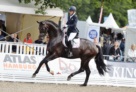 05_Florenz_Galopp_Verden_2014_Ruechel_druckfertig 