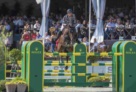 Biquet_Balou_@_paardenfotograaf_(1) 