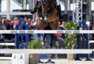 Biquet_Balou_@_paardenfotograaf_(5) 