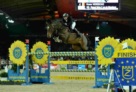BISQUET_@paardenfotograph 