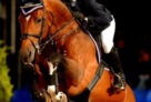 Canto_Canturo_Limbus_J_F_Meyer_2006_Janne_Bugtrup_2.jpg 