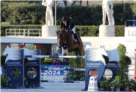 Carrera-VDL-20162 
