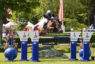 Carrera-Vrieling-2015--150429 