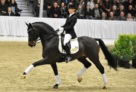 Contendro_I_Isabell_Bache_Verden_11_BECKER 