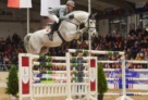 Diacontinus Stallion Celle 