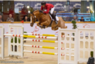 Escape Z Approvazione BWP 