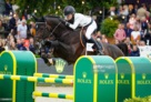 El Barone Stallion 