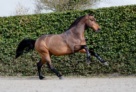 Glenfiddich-hoog-8886 