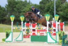 Hengststation Bachl Cullinan du Borget B 1_MM 