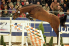 L'Esprit Free Jump 