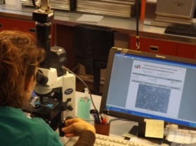 Laboratorio 