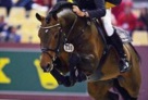 marco_kutscher_and_numero_uno_in_geneva_international_showjumping_show 