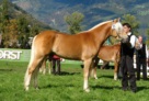 MAXL - B- L - Copia (2) 