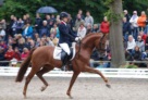 Sir-Heinrich_1 
