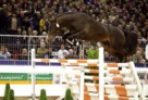 ustinov_v.libero_h_x_nimmerdor_x_marco_polo_at_the_kwpn_stallion_approval_2004 