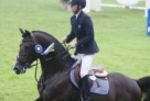 ustinov_v._libero_h_x_nimmerdor_x_marco_polo_csi_4_geesteren_2008 