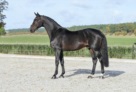 Vatson Sitte (1) 