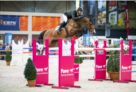 Vrieling-J-Carrera-VDL-KWPN16L04158 