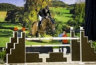 Vrieling-J-Carrera-VDL-MAAS15L24744-klein 