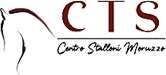 Centro Stalloni Moruzzo
